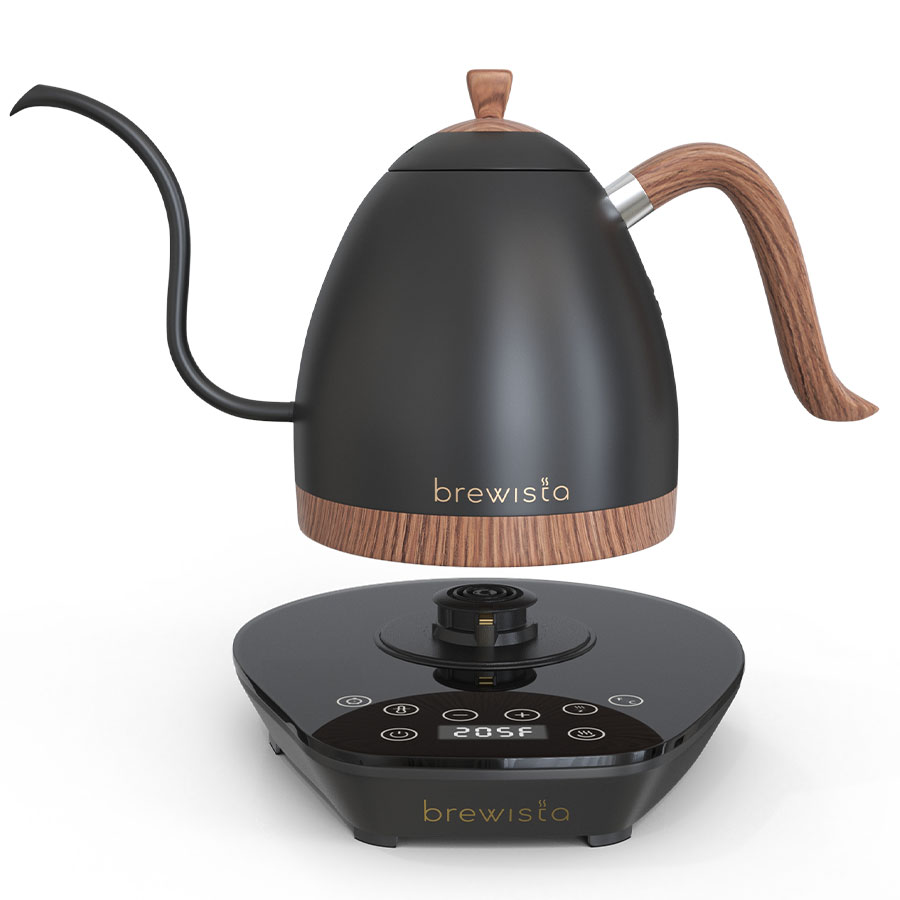 Brewista Artisan 0.6L Gooseneck Variable Kettle - Matte